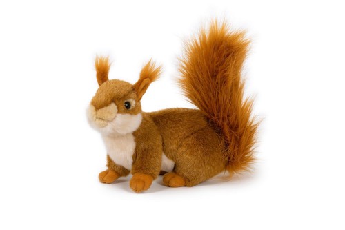 Eichhörnchen plüschtier - eichhörnchen,