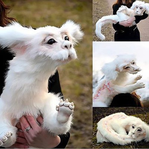 Falkor fuchur plüschtier als - plüschtier,