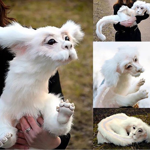 Falkor fuchur aus der - falkor,