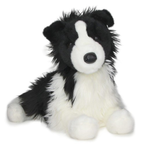 Border collie chase - border,