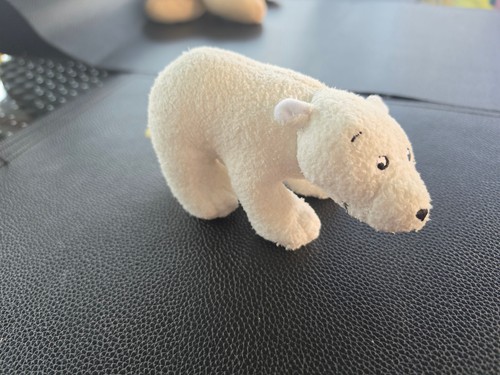 Der kleine eisbär - der,